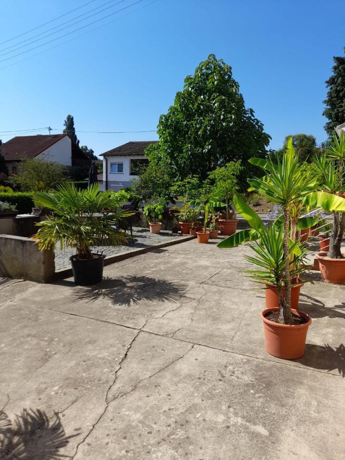 Ferienwohnung "Zum Alten Kuhstall" Oberhausen  Ngoại thất bức ảnh