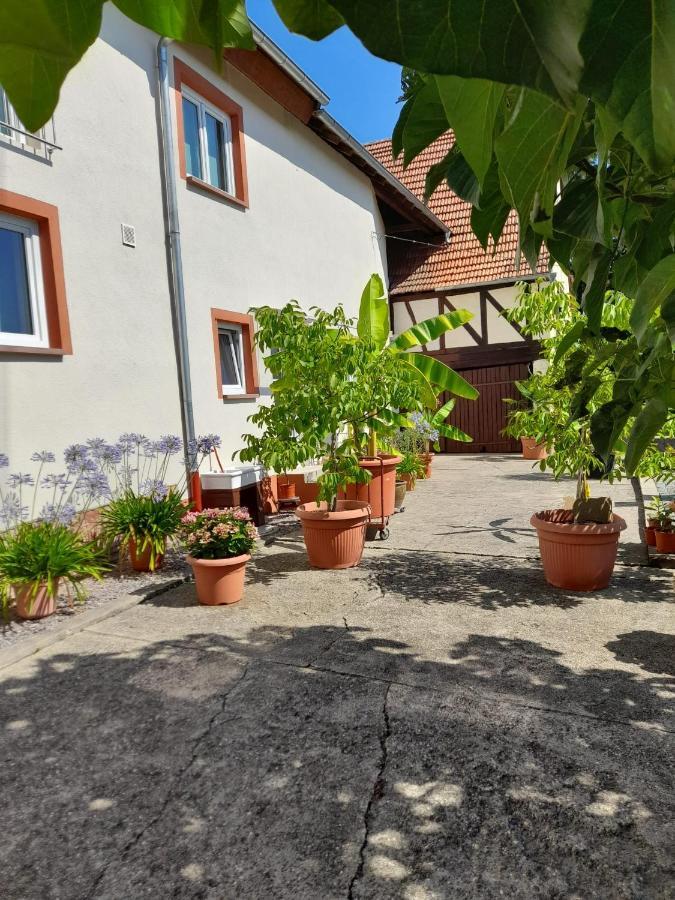Ferienwohnung "Zum Alten Kuhstall" Oberhausen  Ngoại thất bức ảnh