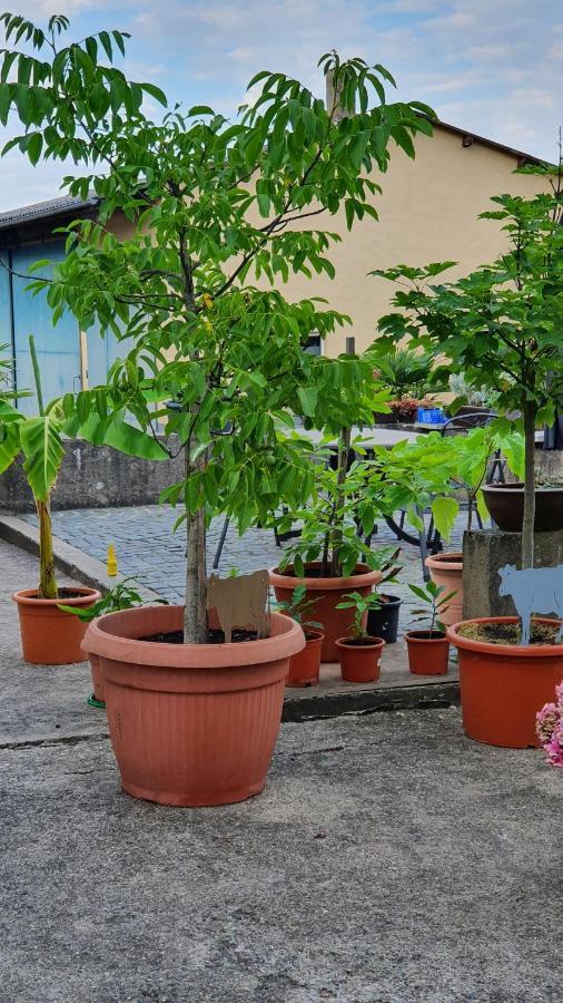 Ferienwohnung "Zum Alten Kuhstall" Oberhausen  Ngoại thất bức ảnh