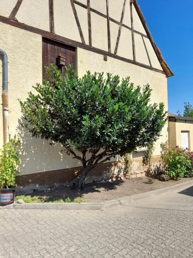 Ferienwohnung "Zum Alten Kuhstall" Oberhausen  Ngoại thất bức ảnh