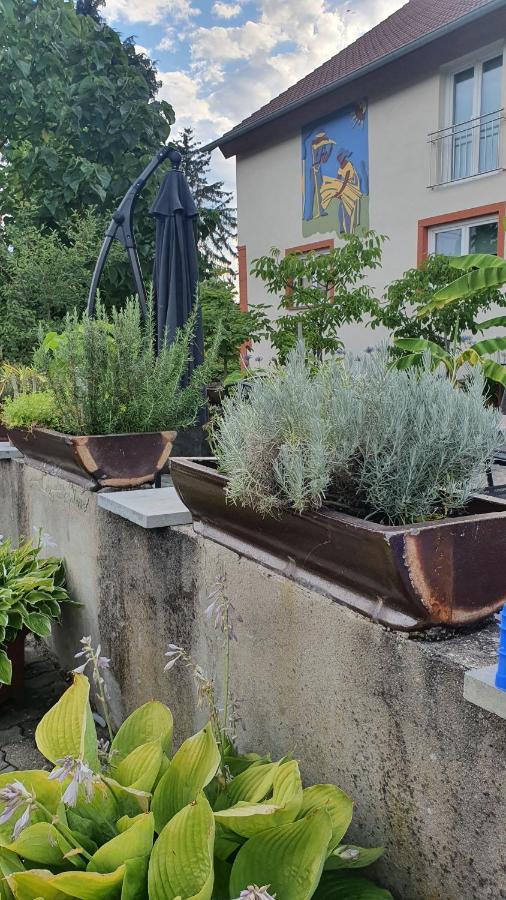 Ferienwohnung "Zum Alten Kuhstall" Oberhausen  Ngoại thất bức ảnh